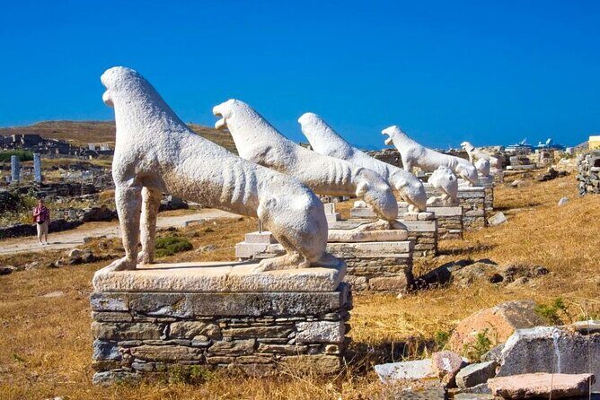 Half Day Delos Tour of Mykonos from the Cruise Ship Port - Key highlights to look for before you go