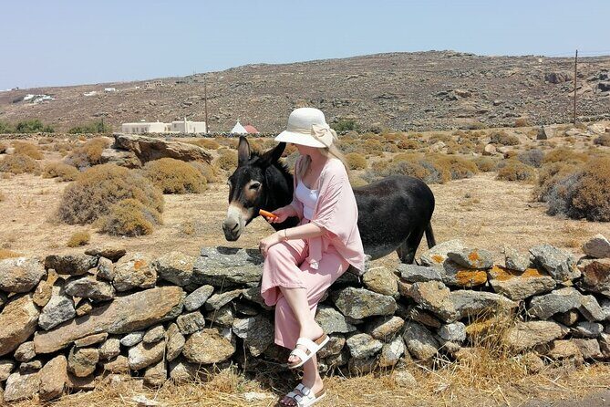 Half-Day Private Guided Tour in Mykonos up to 6 - The island road trip to Agios Ioannis and the beach route