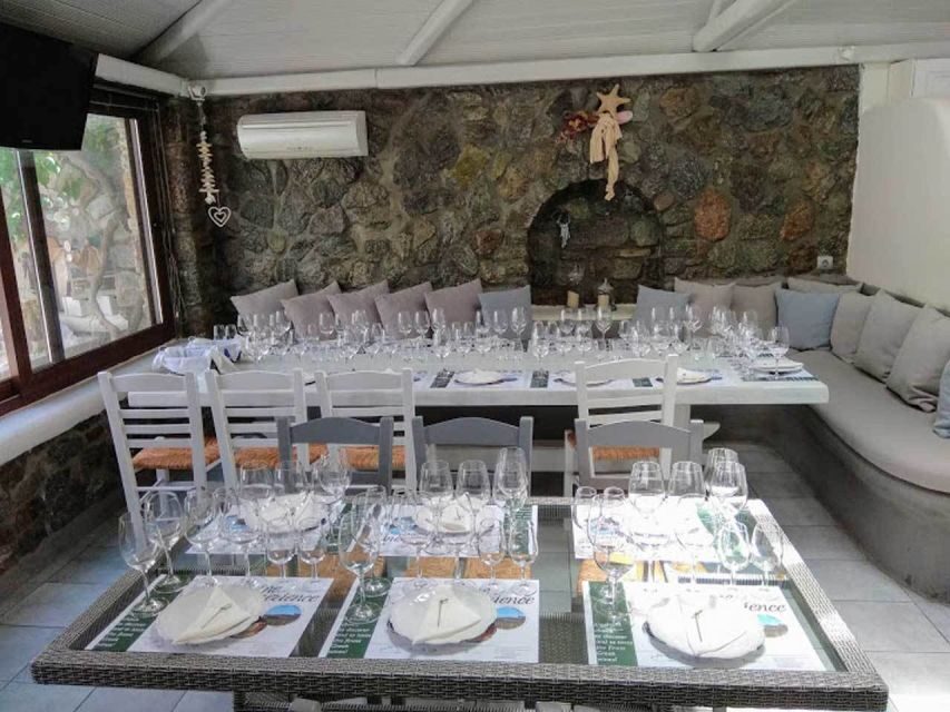 Mykonos: Half-Day Wine Tasting and Snack at a Local House - Why this Mykonos tasting happens in a real home