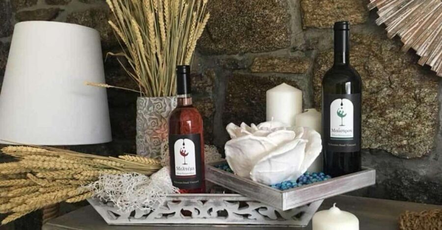 Mykonos: Half-Day Wine Tasting and Snack at a Local House - Six Greek wines: what you actually taste and why it’s useful