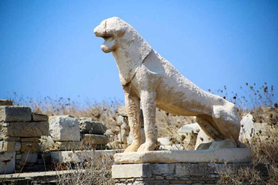 Mykonos: Private Delos and Rhenia 6hrs Cruise with Lunch - Delos archaeological site: 75 minutes is enough if you plan your priorities