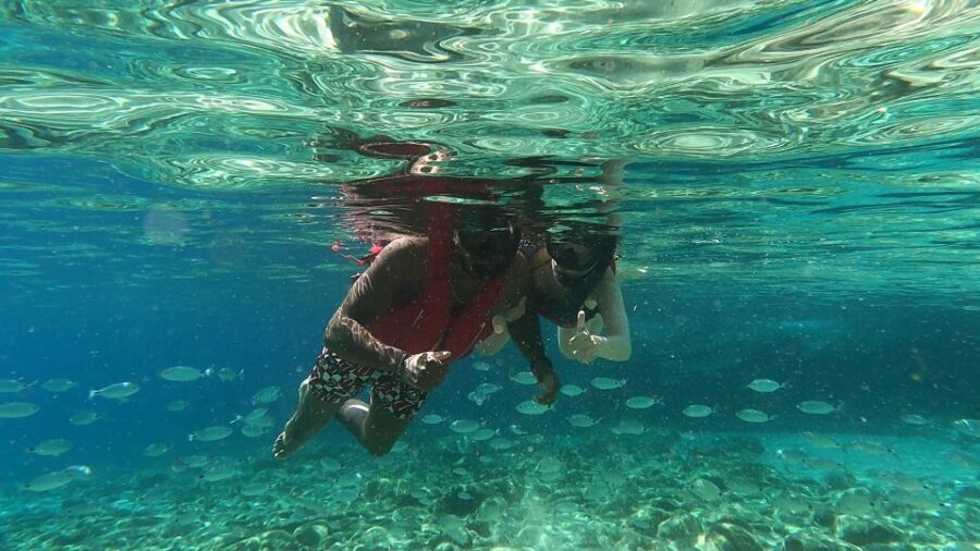 Mykonos: Secluded Bays Sea Kayaking Tour with GoPro Photos - Snorkeling stops: bream, snappers, mullets, and occasional surprises