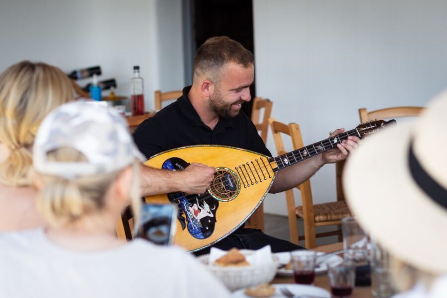 Mykonos: Winery Vineyard Experience with Food & Wine Tasting - Who this tour suits best (and who might want a different plan)