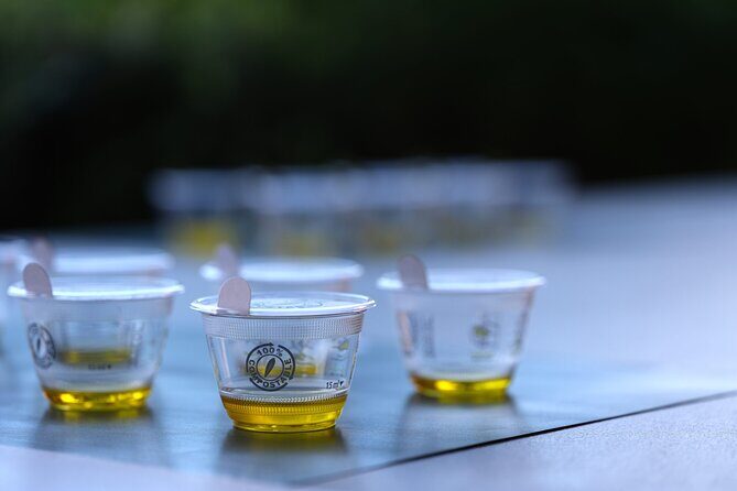 Olive Oil Tasting at the Mykonian Farm - The big teaching trick: tasting both great and defective oils