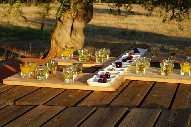 Olive Oil Tasting at the Mykonian Farm - What about food and wine at the farm?
