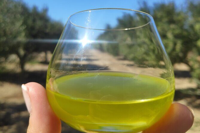 Olive Oil Tasting at the Mykonian Farm - Arriving at 5 pm: what the timing and pickup mean for your day