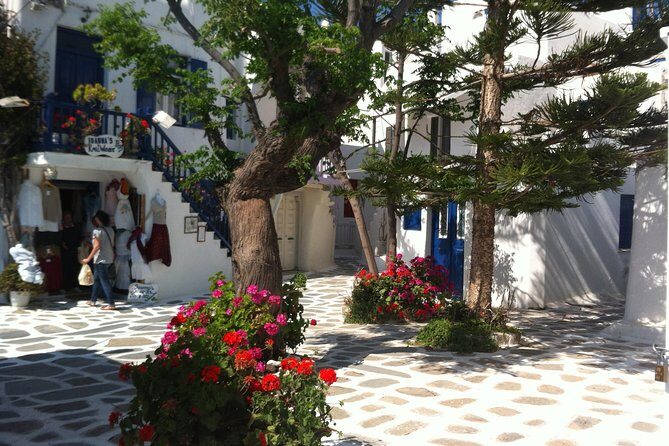 Panoramic and Tasting Private Tour - Rizes Folklore Farmstead in Ano Mera: olive oil and farm meze