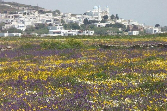 Tinos Island Tour from Mykonos - Getting to Tinos the easy way: boats and a guided handoff