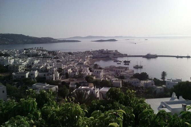 Transfer services and Tours - Mykonos Airport-to-Arrival: Why this transfer is the sensible move